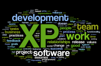 what is xp: wordle